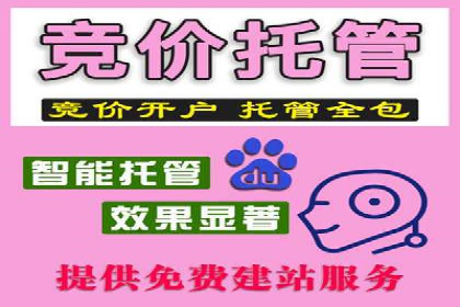 百度推广实战：成功案例解析